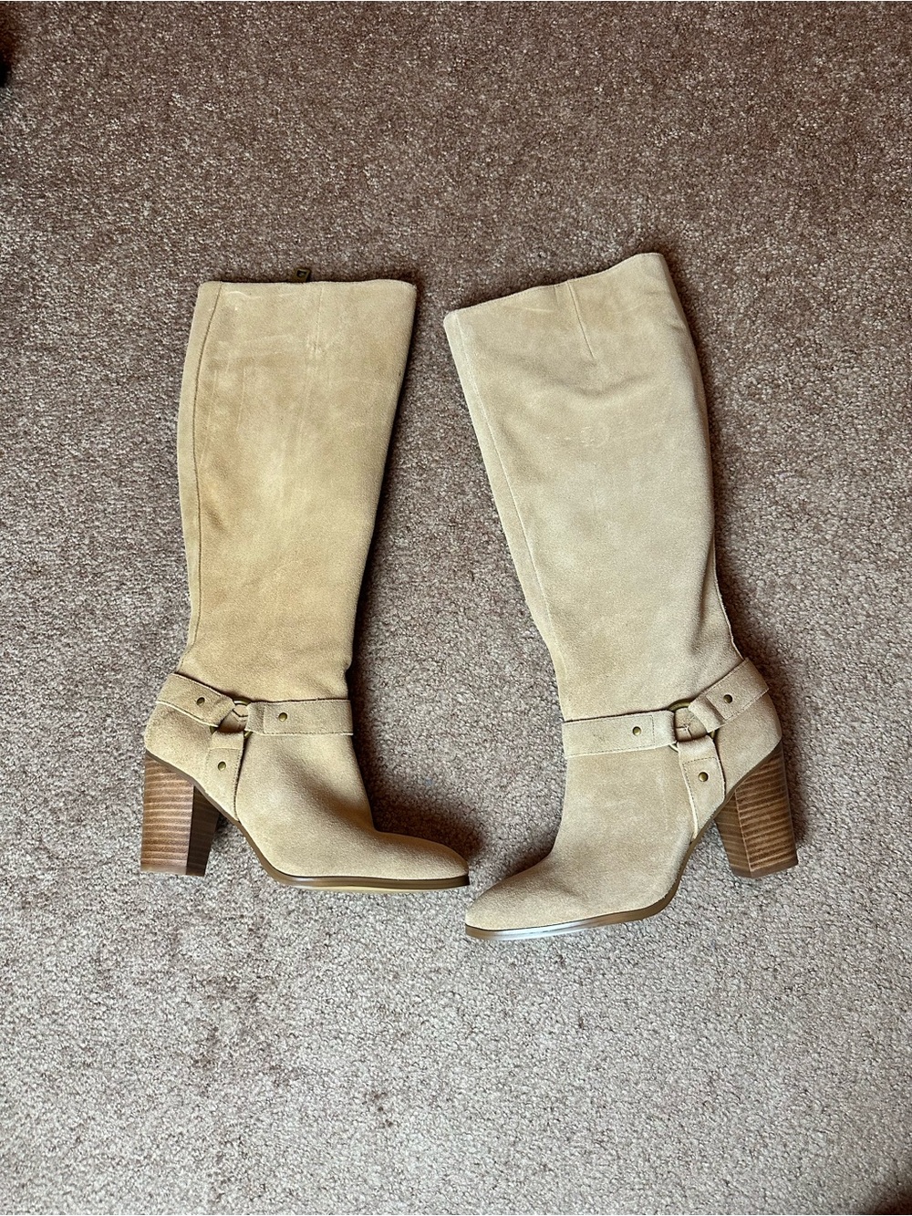 Lauren Ralph Lauren Women's Fareeda Tall Suede Block Heel Boots - Beige Size 8M